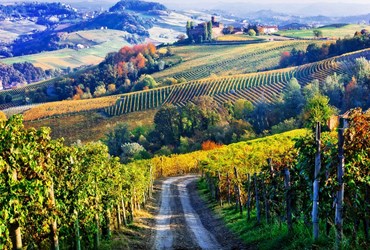 טעימת יינות מפיימונטה - צפון איטליה